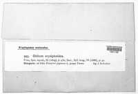 Image Associated With the Occurrence